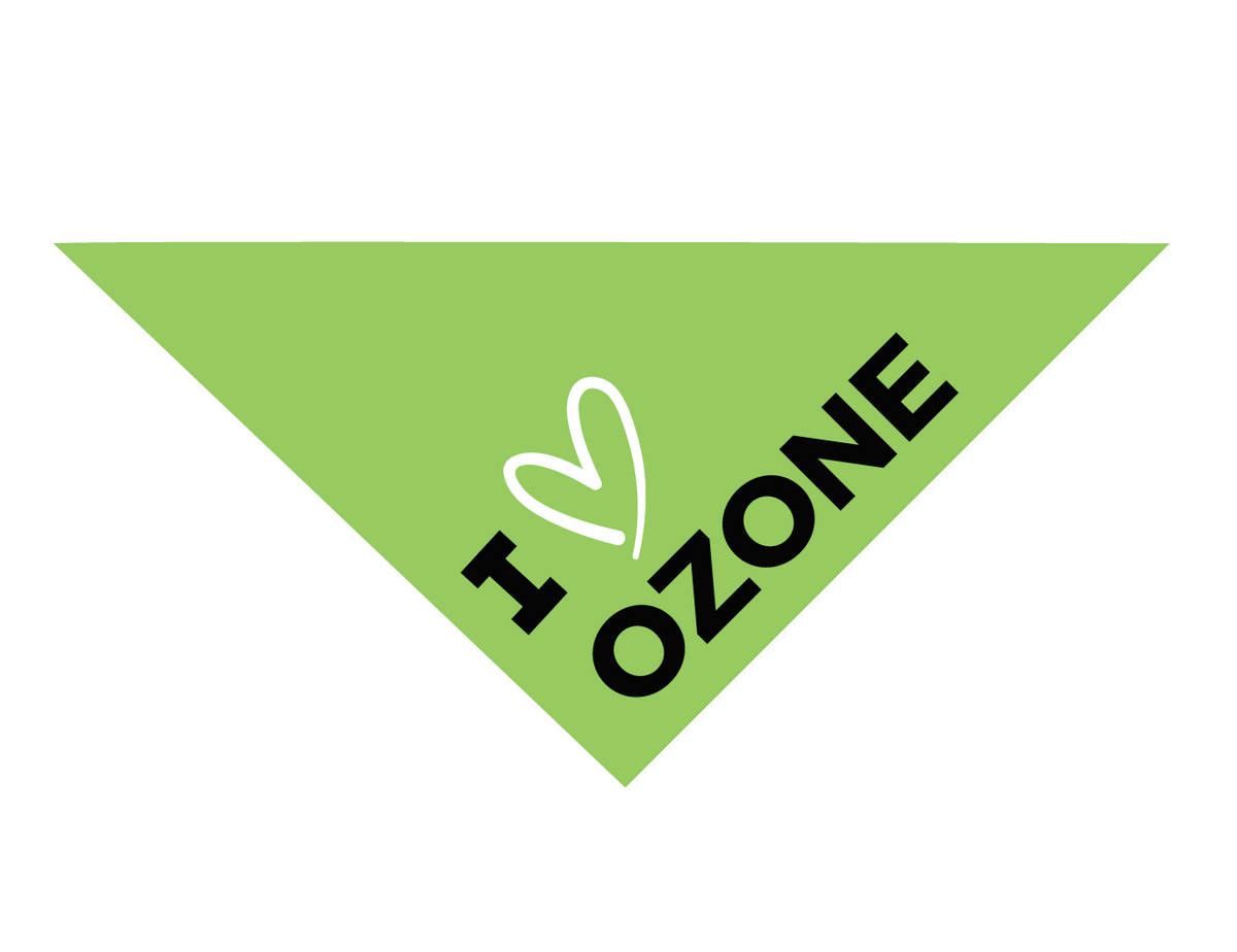 Green pet bandana