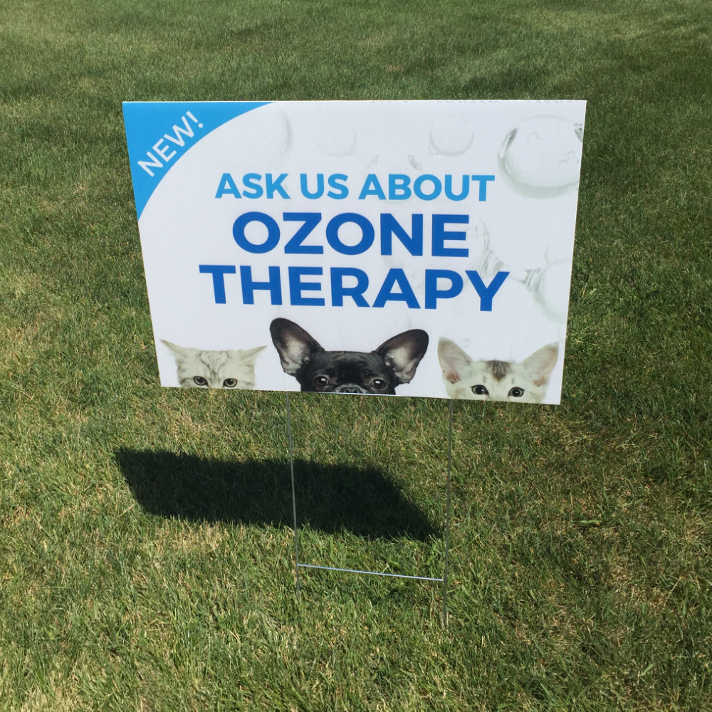 Yard Sign in a lawn