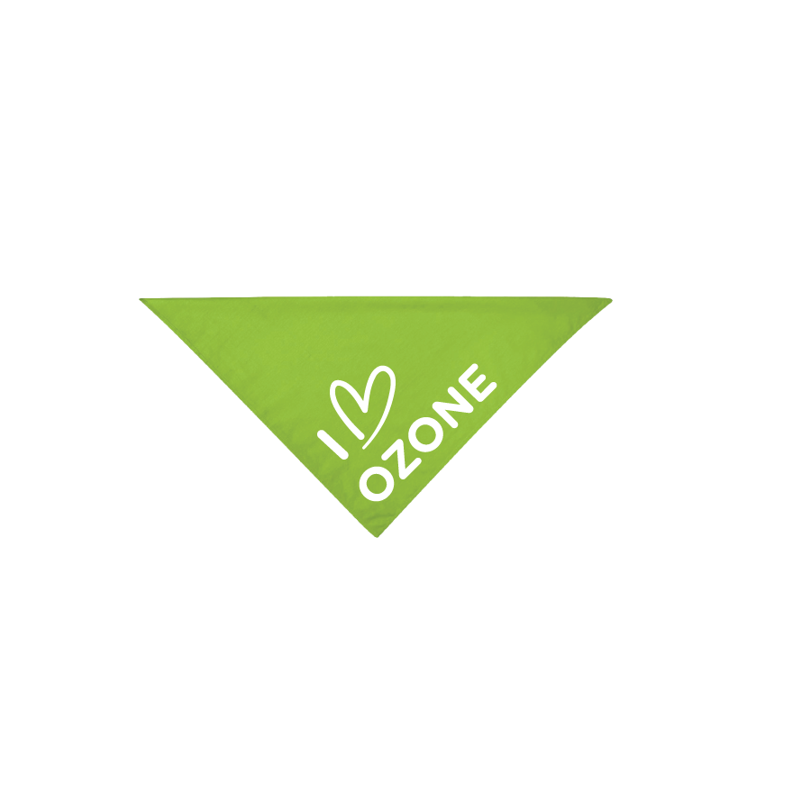 Green Pet Bandana