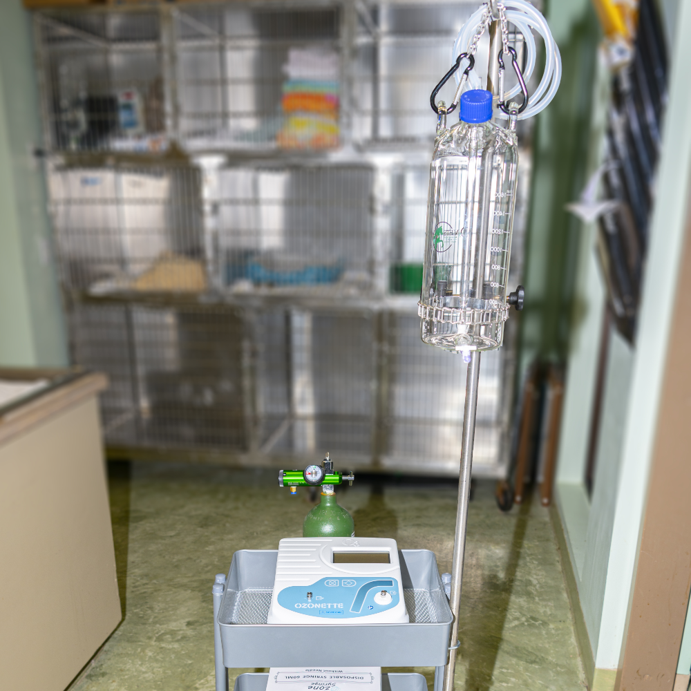 Vet bubbler on a vet cart and in an office