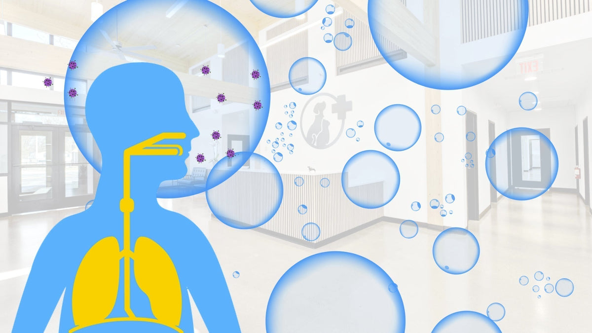 Ozone Safety in the Veterinary Clinic: How to Protect Your Team