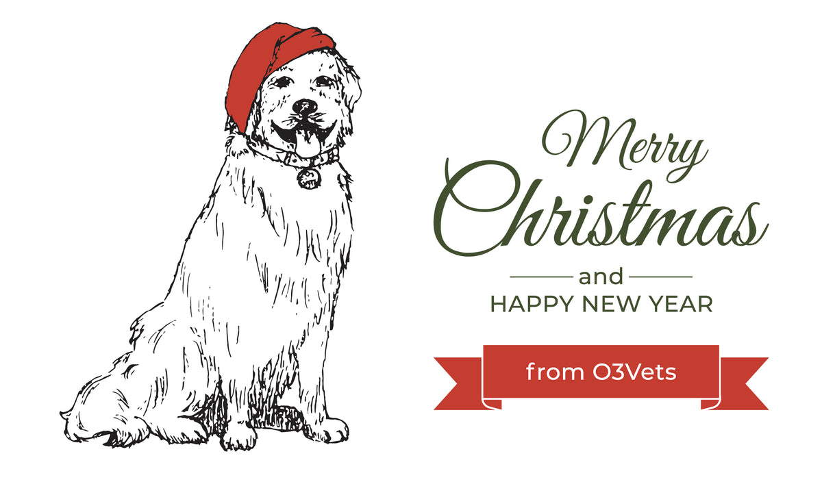 The 12 Days of Christmas Health