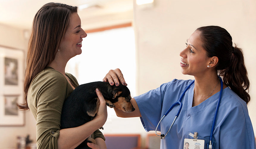 How to Educate Clients on Ozone Therapy for Animals