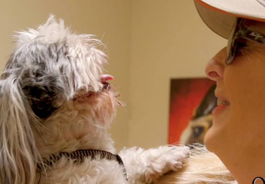 OZONE THERAPY - MUSIC TO CELLO'S EARS