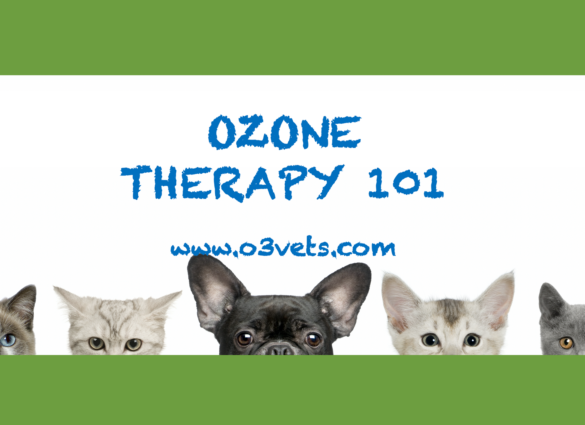 Ozone for Animals 101