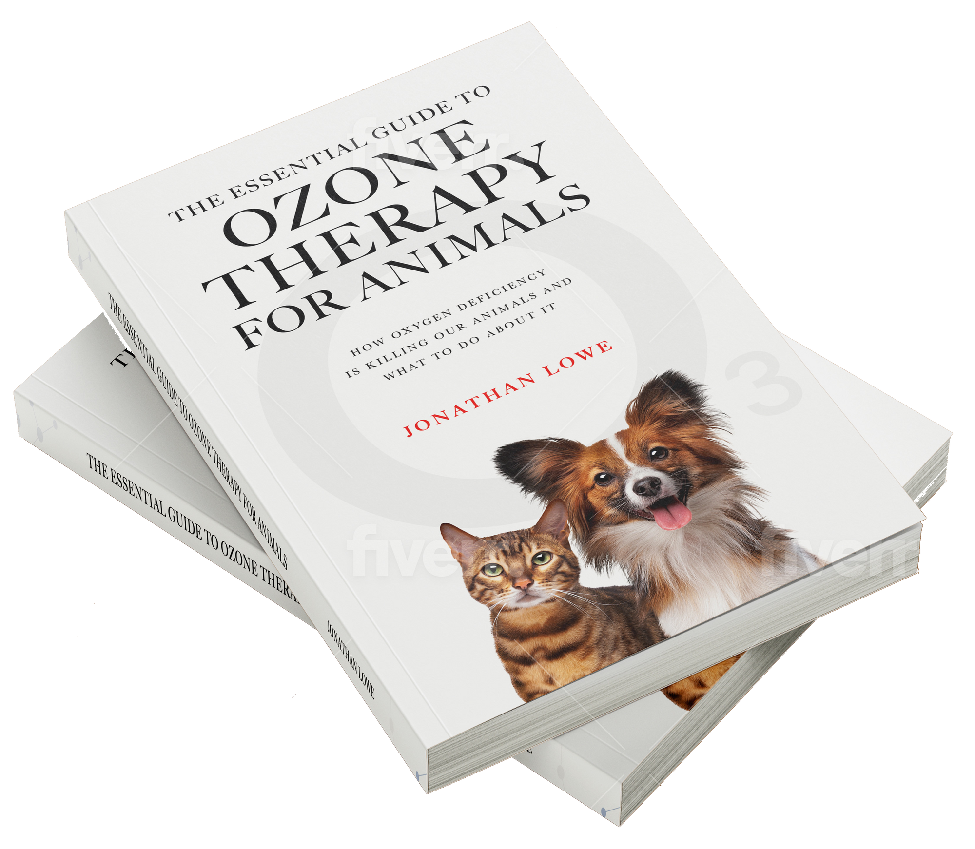 The Essential Guide to Ozone Therapy for Animals