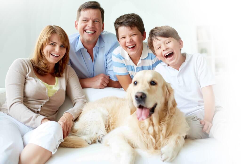 Rectal Ozone Therapy at Home