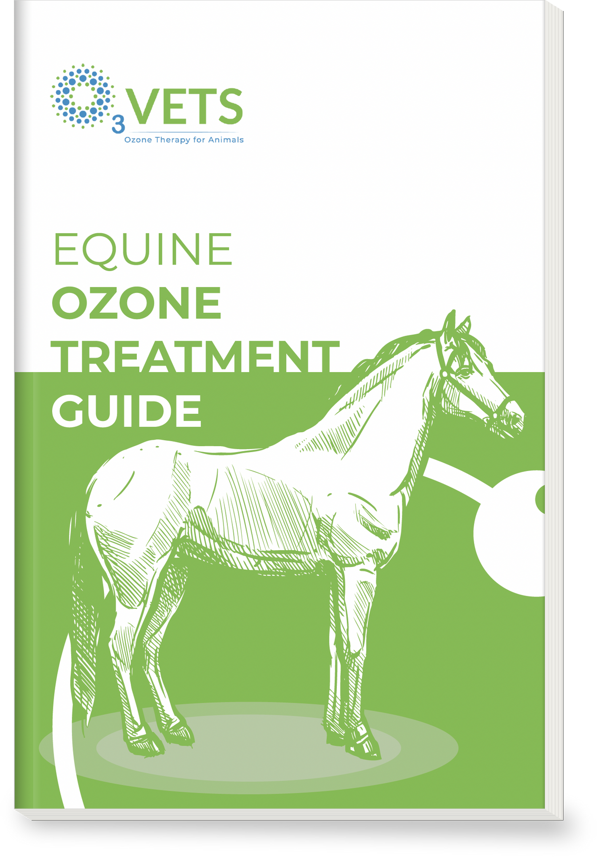 Equine Ozone Treatment Guide