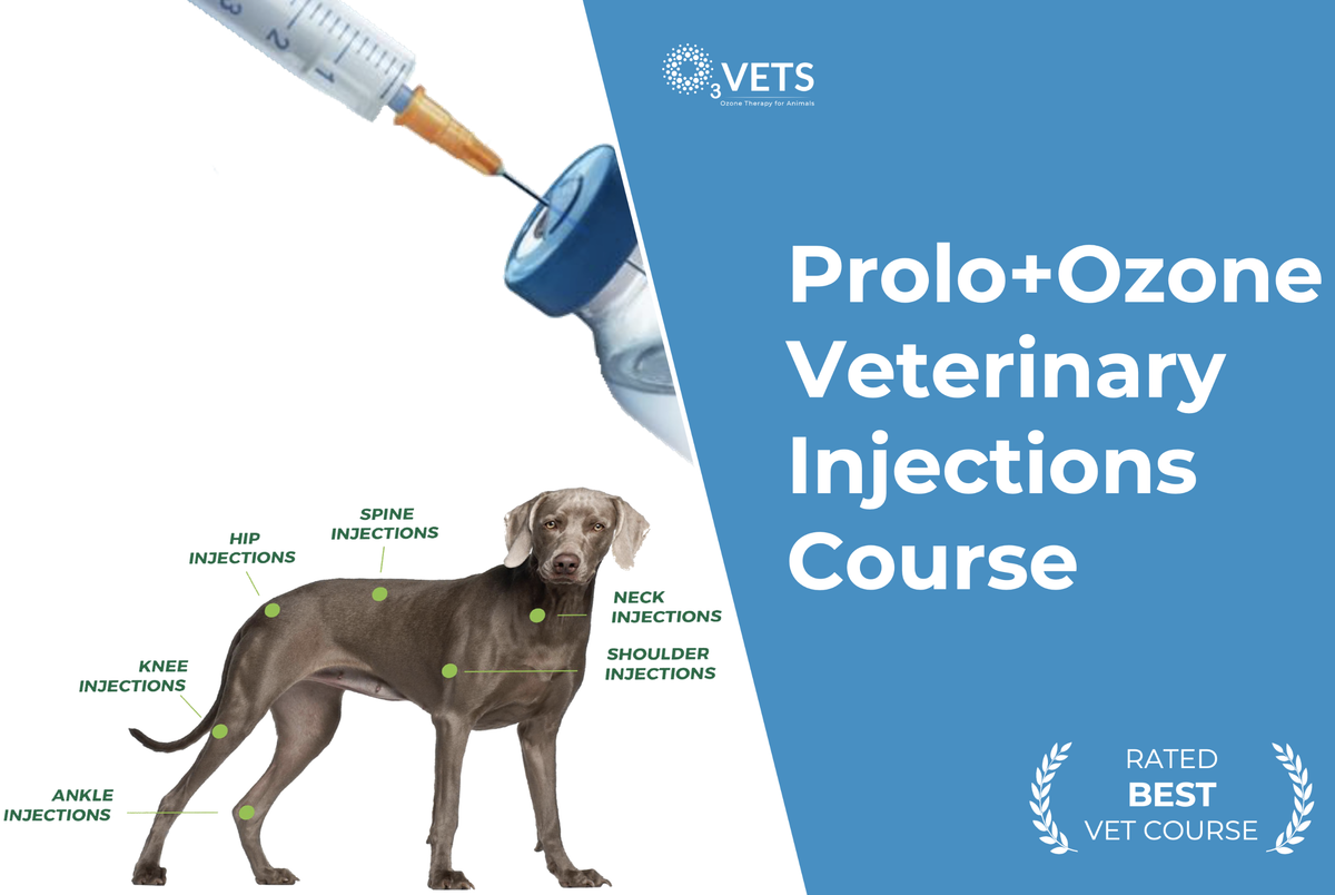 Promotional graphic for Prolo+Ozone Veterinary Injections Course, with photograph of a dog