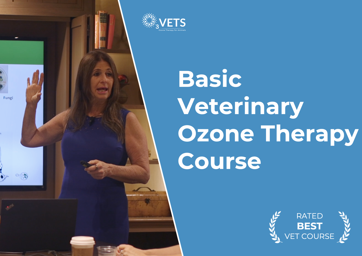 ONLINE - Basic Vet Ozone Course