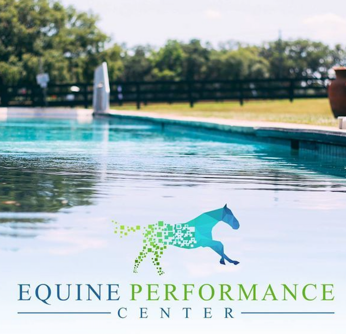 2026 Equine Ozone Workshop