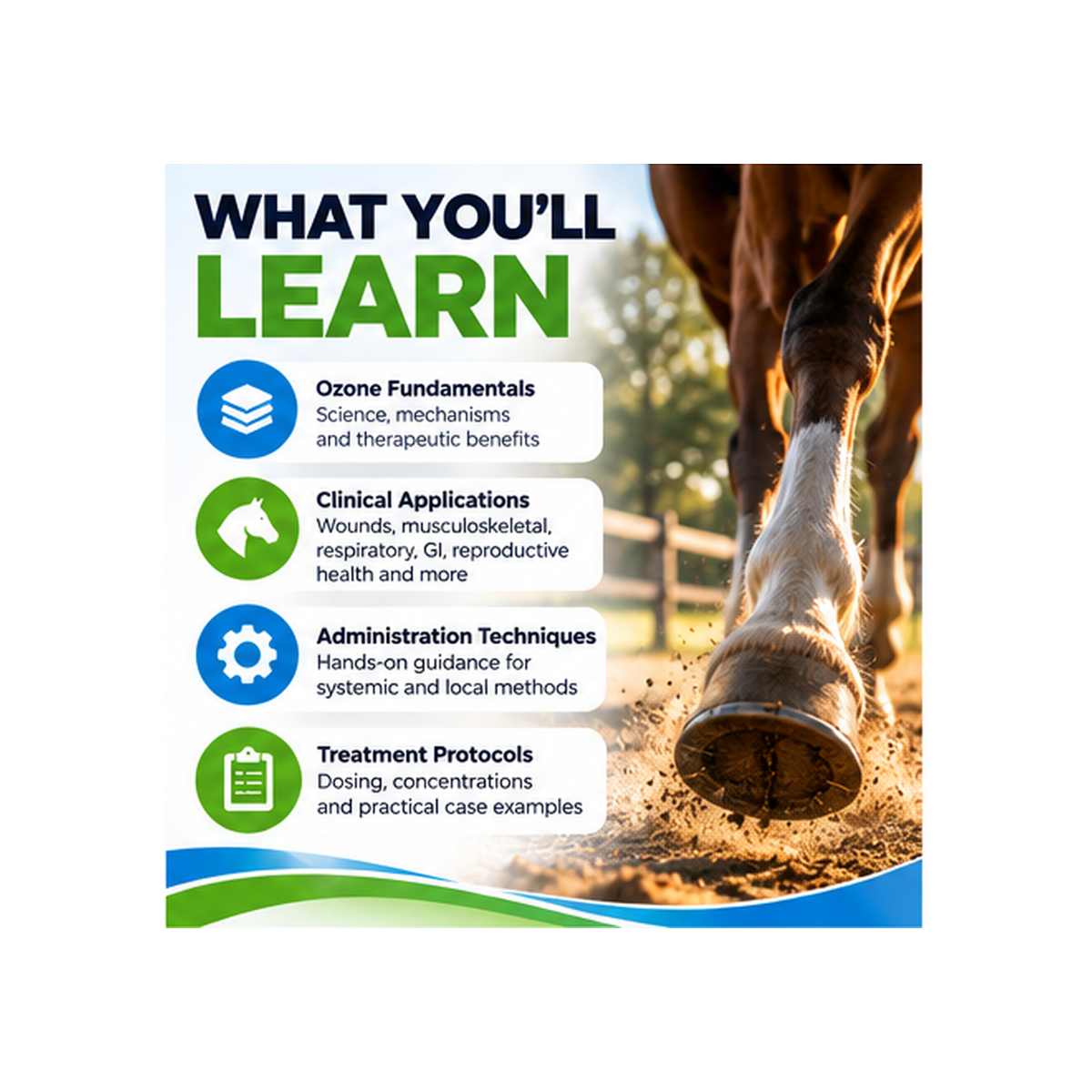 Equine Ozone Therapy Online Course