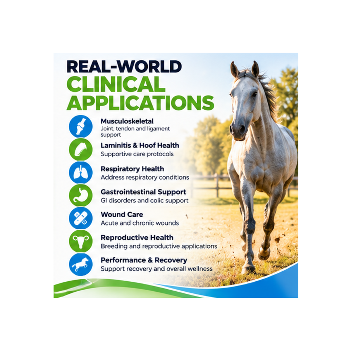 Equine Ozone Therapy Online Course