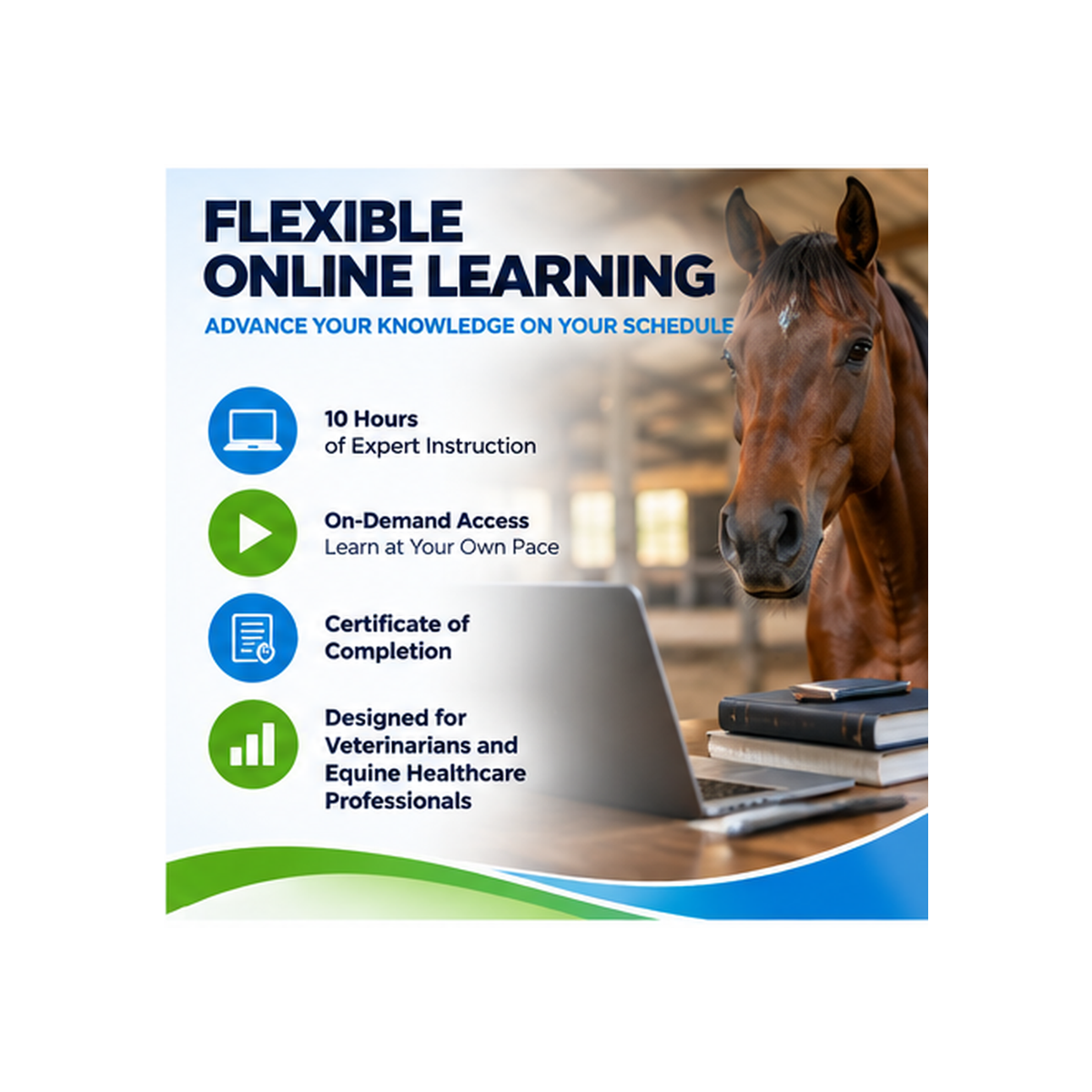 Equine Ozone Therapy Online Course
