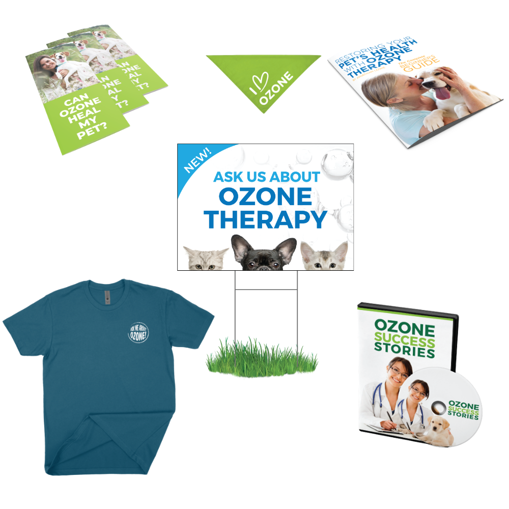 Collection of veterinary marketing materials on a white background