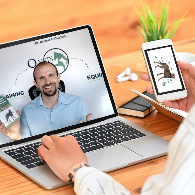 Online consulting graphic with computer and phone 