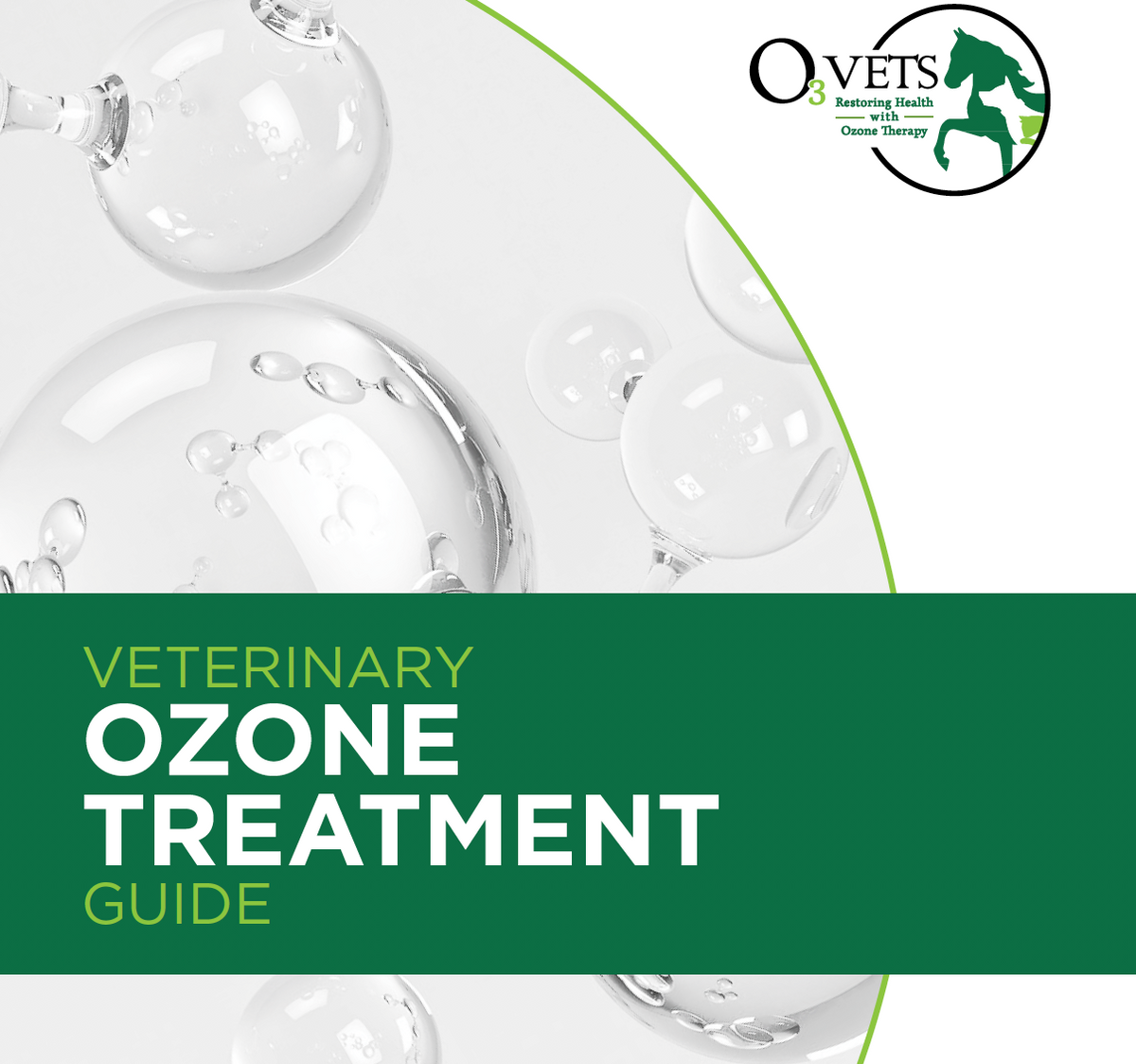 Vet ozone treatment guide graphic 