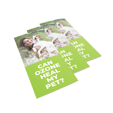 Patient Brochures, green front view on a white background