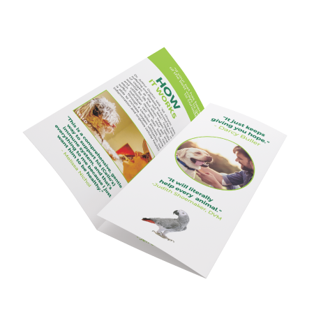 Patient Brochure, trifold open